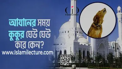 আযানের সময় কুকুর ডাকে কেন?