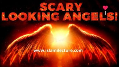 WHY MUSA (AS) PUNCHED THE ANGEL OF DEATH!