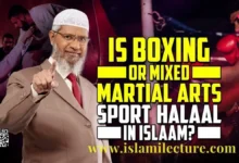 Is Boxing or Mixed Martial Arts Sport Halaal - Islami Lecture