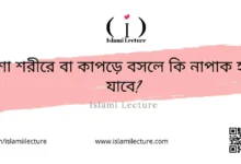 মশা শরীরে বা কাপড়ে বসলে কি নাপাক হয়ে যাবে - Islami Lecture