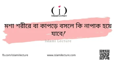 মশা শরীরে বা কাপড়ে বসলে কি নাপাক হয়ে যাবে - Islami Lecture