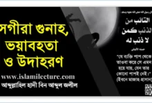 সগিরা গুনাহ ভয়াবহতা এবং কতিপয় উদাহরণ - Islami Lecture