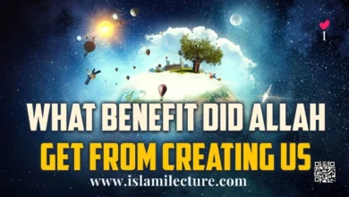 What Benefit Did Allah Get From Creating Us - Islami Lecture
