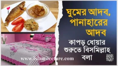 ঘুমের আদব পানাহারের আদব কাপড় ধোয়ার শুরুতে বিসমিল্লাহ বলা - Islami Lecture