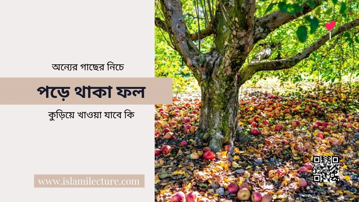 অন্যের গাছের পড়া ফল কুড়িয়ে খাওয়া যাবে কি - Islami Lecture