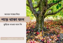 অন্যের গাছের পড়া ফল কুড়িয়ে খাওয়া যাবে কি - Islami Lecture