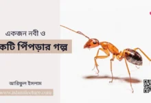 একজন নবী ও একটি পিঁপড়ার গল্প - Islami Lecture
