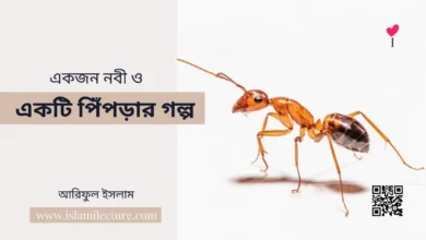 একজন নবী ও একটি পিঁপড়ার গল্প - Islami Lecture