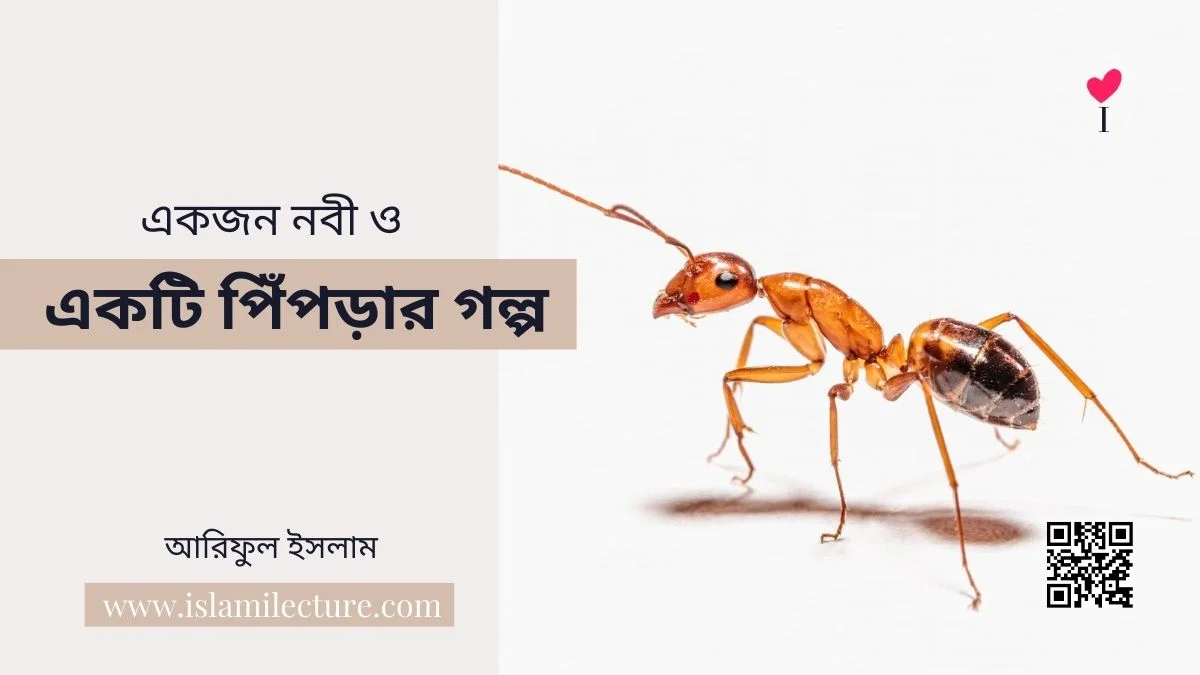 একজন নবী ও একটি পিঁপড়ার গল্প - Islami Lecture