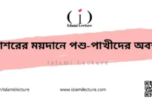 হাশরের ময়দানে পশু-পাখীদের অবস্থা - Islami Lecture