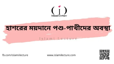 হাশরের ময়দানে পশু-পাখীদের অবস্থা - Islami Lecture
