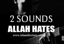 2 SOUNDS ALLAH HATES-Islami Lecture.jpg