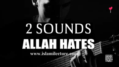 2 SOUNDS ALLAH HATES-Islami Lecture.jpg