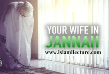 Your Wife In Jannah - Islami Lecture