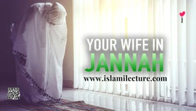 Your Wife In Jannah - Islami Lecture
