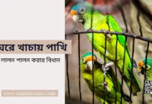 ঘরে খাচায় পাখি লালন পালন করার বিধান -Islami Lecture