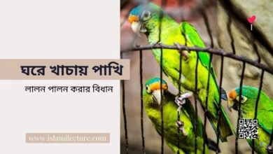 ঘরে খাচায় পাখি লালন পালন করার বিধান -Islami Lecture