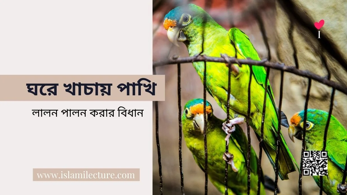 ঘরে খাচায় পাখি লালন পালন করার বিধান -Islami Lecture