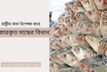 রাষ্ট্রীয় বাধা উপেক্ষা করে শিকারকৃত মাছের বিধান - Islami Lecture