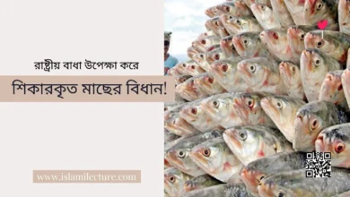 রাষ্ট্রীয় বাধা উপেক্ষা করে শিকারকৃত মাছের বিধান - Islami Lecture