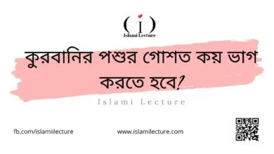 কুরবানির পশুর গোশত কয় ভাগ করতে হবে - Islami Lecture