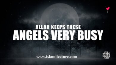 Allah Keeps These Angels Very Busy - Islami Lecture