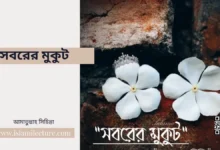 সবরের মুকুট - Islami Lecture