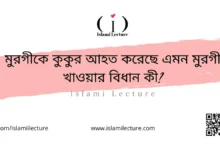 মুরগীকে কুকুর আহত করেছে এমন মুরগী খাওয়ার বিধান কী - Islami Lecture