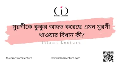 মুরগীকে কুকুর আহত করেছে এমন মুরগী খাওয়ার বিধান কী - Islami Lecture