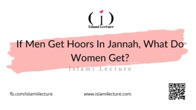 If Men Get Hoors In Jannah, What Do Women Get