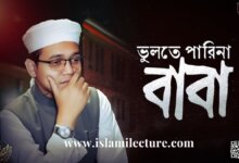 Vulte Parina Baba Sayed Ahmad Bangla Lyrics Video