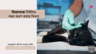 বিড়ালকে নিউটার বন্ধ্যা করণ করার বিধান - Islami Lecture