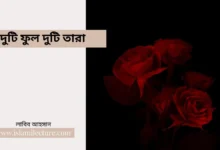 দুটি ফুল দুটি তারা - Islami Lecture
