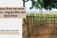 কবরের উপর নাম ফলক স্থাপন, খেজুরের কাঁচা ডাল পুঁতার বিধান- Islami Lecture