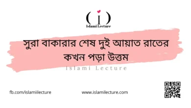 সুরা বাকারার শেষ দুই আয়াত রাতের কখন পড়া উত্তম - Islami Lecture